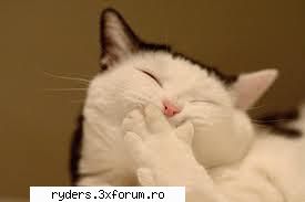 Cum faci server de MuOnline - Scuzati-ma nu am pus bine siteul :( Stay cool ! - MuOnline